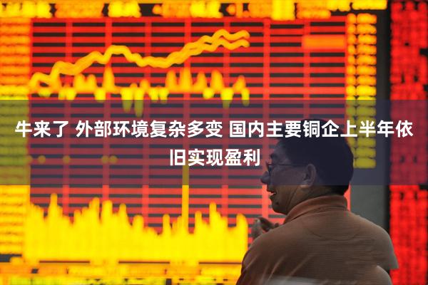 牛来了 外部环境复杂多变 国内主要铜企上半年依旧实现盈利