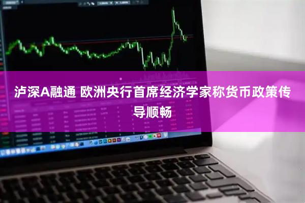 泸深A融通 欧洲央行首席经济学家称货币政策传导顺畅