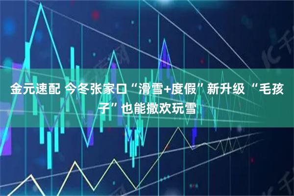 金元速配 今冬张家口“滑雪+度假”新升级 “毛孩子”也能撒欢玩雪