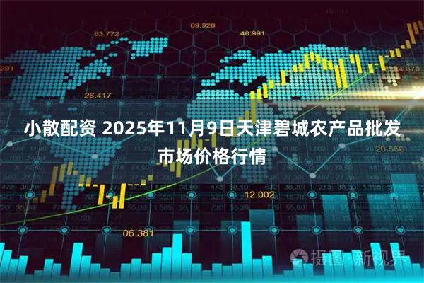 小散配资 2025年11月9日天津碧城农产品批发市场价格行情