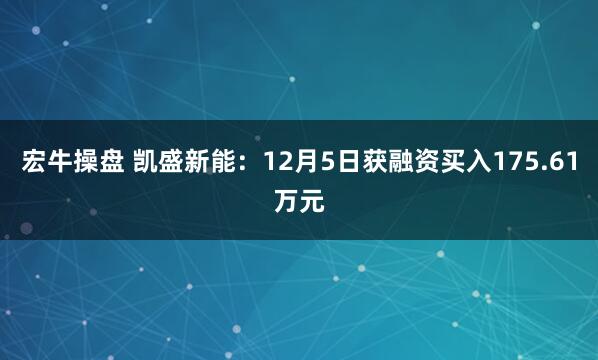 宏牛操盘 凯盛新能:12月5日获融资买入175.61万元