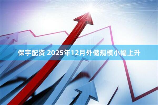 保宇配资 2025年12月外储规模小幅上升