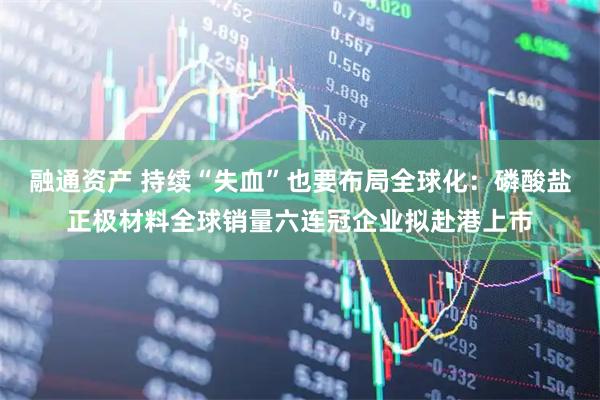 融通资产 持续“失血”也要布局全球化:磷酸盐正极材料全球销量六连冠企业拟赴港上市