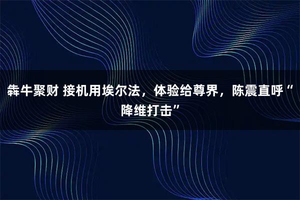 犇牛聚财 接机用埃尔法，体验给尊界，陈震直呼“降维打击”